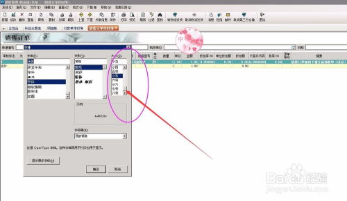 如何在軟件開發中修改財務軟件銷售訂單模塊的表格字體